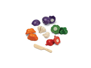 5 COLORS VEGGIE SET