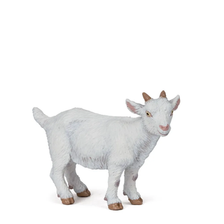 WHITE KID GOAT