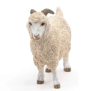 ANGORA GOAT