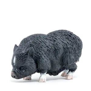 VIETNAMESE POT-BELLIDED PIG