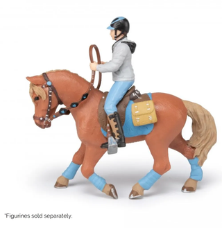 YOUNG RIDER HORSE