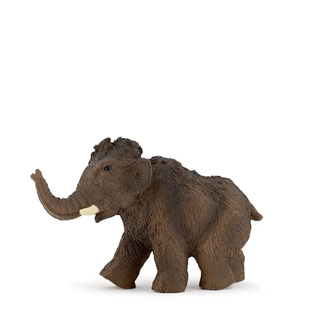 YOUNG MAMMOTH