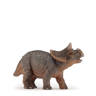 YOUNG TRICERATOPS