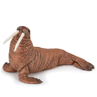 WALRUS