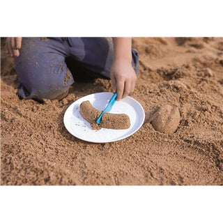 SAVORY SAND BREAKFAST