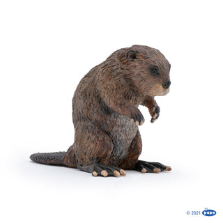 BEAVER