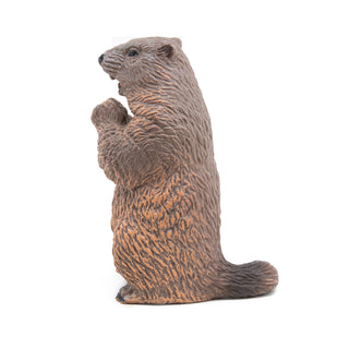 BEAVER