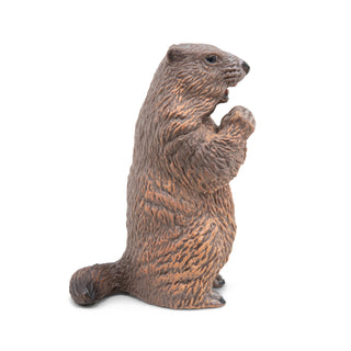 BEAVER