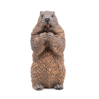 BEAVER