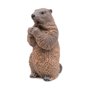 BEAVER