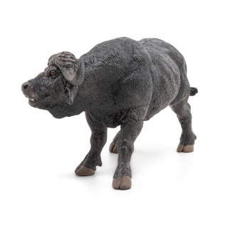 AFRICAN BUFFALO
