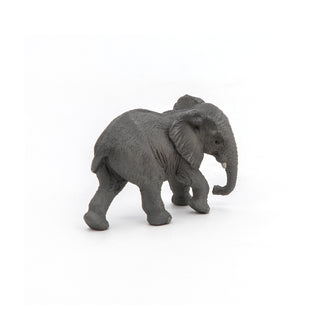 YOUNG AFRICAN ELEPHANT