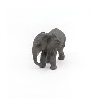 YOUNG AFRICAN ELEPHANT