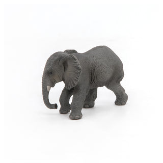 YOUNG AFRICAN ELEPHANT