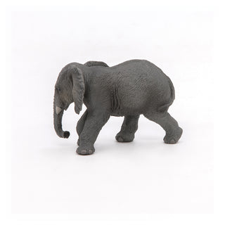 YOUNG AFRICAN ELEPHANT