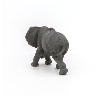 YOUNG AFRICAN ELEPHANT