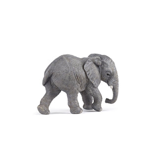 YOUNG AFRICAN ELEPHANT