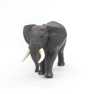 AFRICAN ELEPHANT