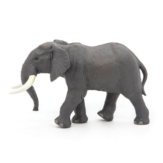 AFRICAN ELEPHANT