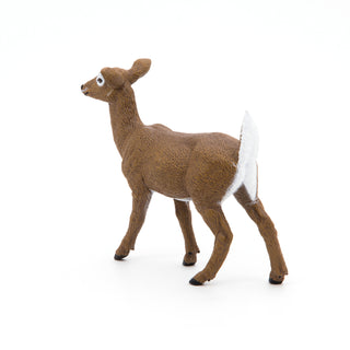WHITE-TAILED DOE