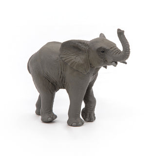 YOUNG ELEPHANT