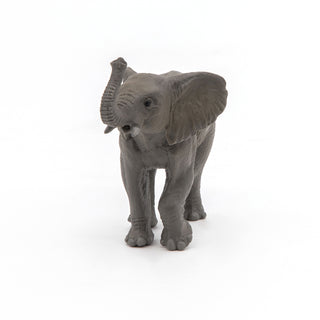 YOUNG ELEPHANT
