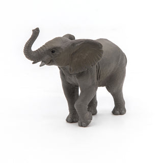 YOUNG ELEPHANT