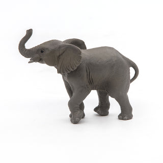 YOUNG ELEPHANT