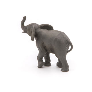 YOUNG ELEPHANT