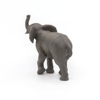YOUNG ELEPHANT