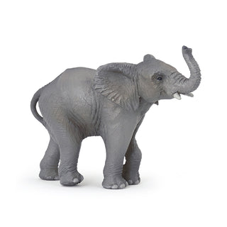 YOUNG ELEPHANT