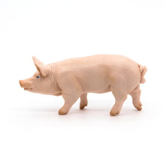 BOAR