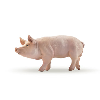 BOAR