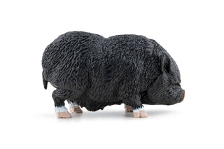 VIETNAMESE POT-BELLIDED PIG