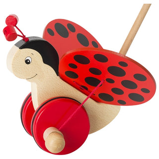 PUSH-ALONG LADYBIRD