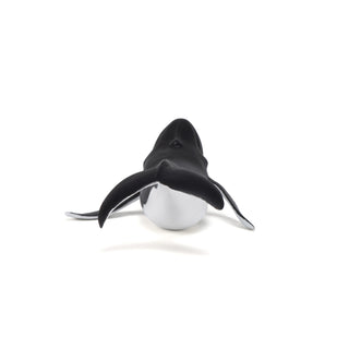 WHALE CALF