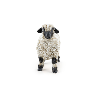 VALAIS BLACKNOSE SHEEP