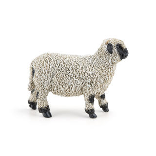 VALAIS BLACKNOSE SHEEP