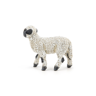 VALAIS BLACKNOSE LAMB
