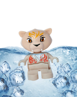 POLAR