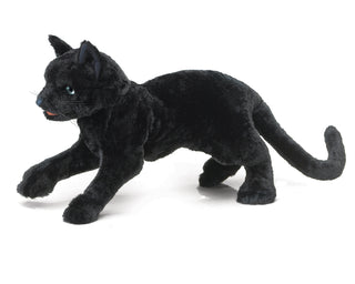 BLACK CAT