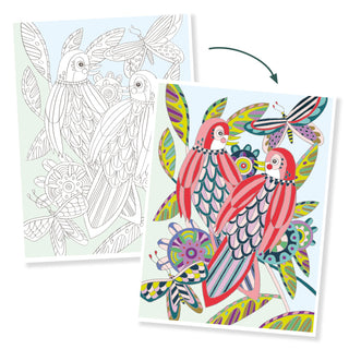 COLOURING GALLERY BIRDS