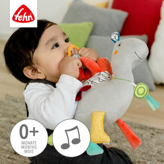 ACTIVITY MUSICAL CAMEL