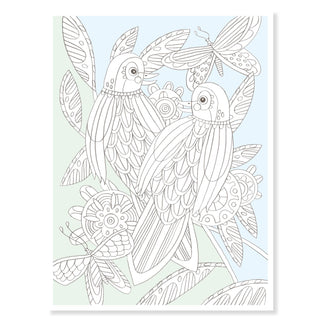 COLOURING GALLERY BIRDS