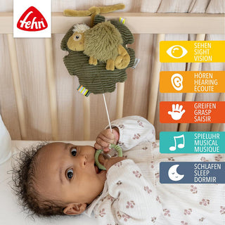 MUSICAL CHAMELEON
