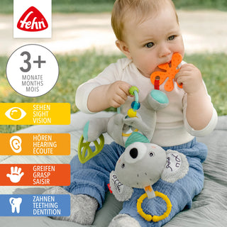 ACTIVITY KOALA