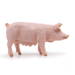 SOW