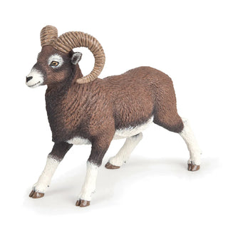 MOUNTAIN SHEEP