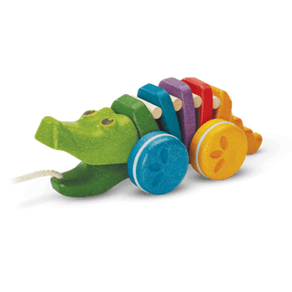DANCING ALLIGATOR RAINBOW