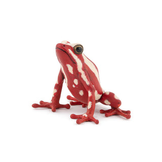 POISON DART FROG